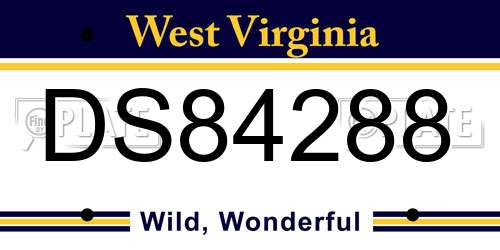DS84288 West Virginia License Plate