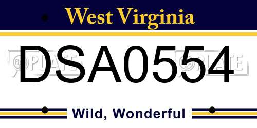 DSA0554 West Virginia License Plate