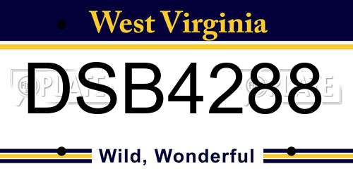 DSB4288 West Virginia License Plate