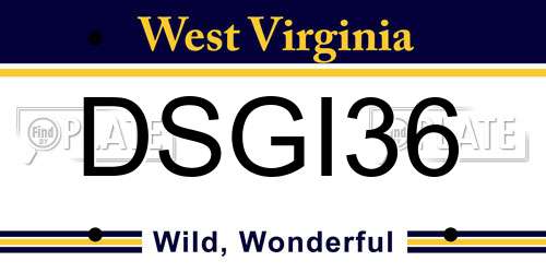 DSGI36 West Virginia License Plate