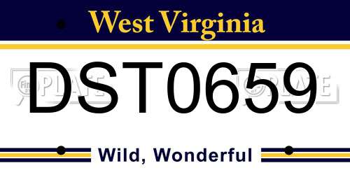 DST0659 West Virginia License Plate