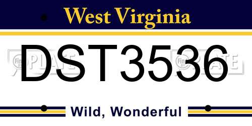 DST3536 West Virginia License Plate