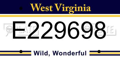 E229698 West Virginia License Plate
