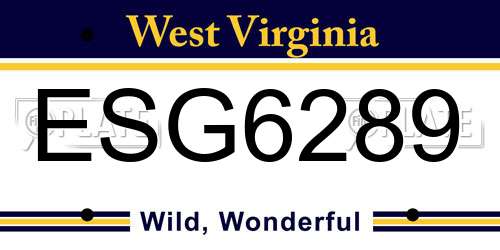 ESG6289 West Virginia License Plate