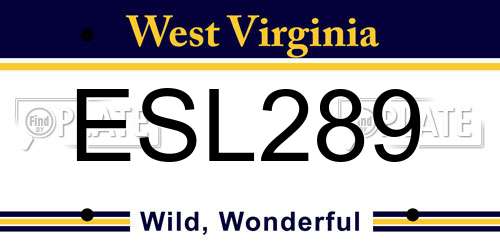 ESL289 West Virginia License Plate
