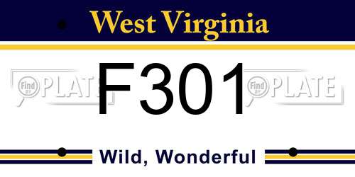 F301 West Virginia License Plate