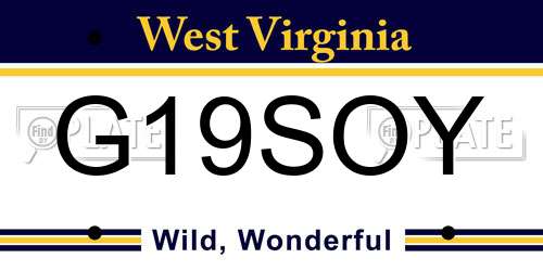 G19SOY West Virginia License Plate