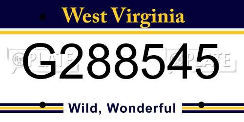 G288545 West Virginia License Plate