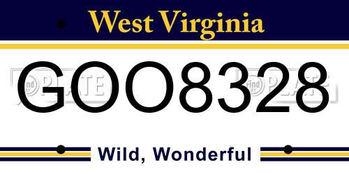 GOO8328 West Virginia License Plate
