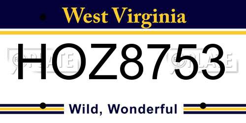 HOZ8753 West Virginia License Plate
