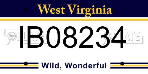 IB08234 West Virginia License Plate