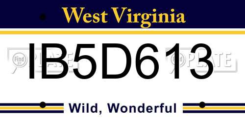 IB5D613 West Virginia License Plate