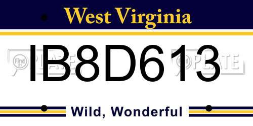 IB8D613 West Virginia License Plate