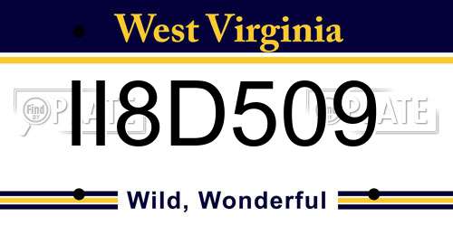 II8D509 West Virginia License Plate