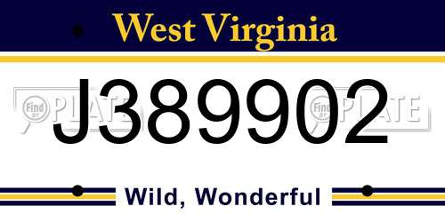 J389902 West Virginia License Plate