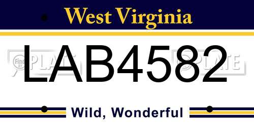 LAB4582 West Virginia License Plate