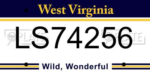 LS74256 West Virginia License Plate
