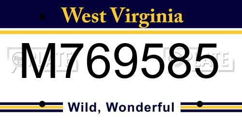 M769585 West Virginia License Plate