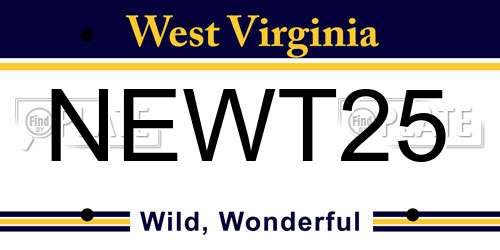 NEWT25 West Virginia License Plate