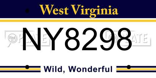 NY8298 West Virginia License Plate