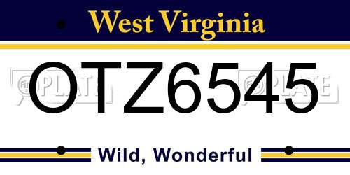 OTZ6545 West Virginia License Plate