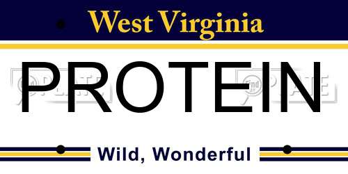 PROTEIN West Virginia License Plate