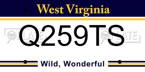 Q259TS West Virginia License Plate