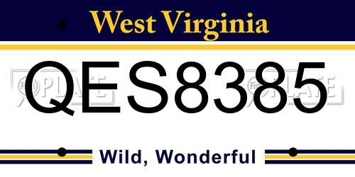 QES8385 West Virginia License Plate