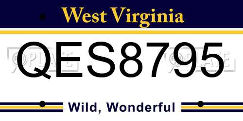 QES8795 West Virginia License Plate