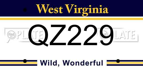 QZ229 West Virginia License Plate