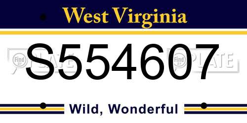 S554607 West Virginia License Plate