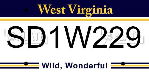 SD1W229 West Virginia License Plate