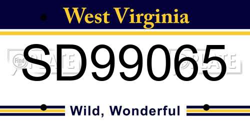 SD99065 West Virginia License Plate