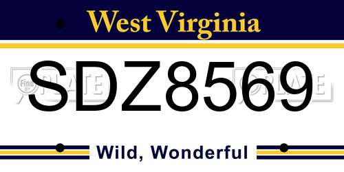 SDZ8569 West Virginia License Plate