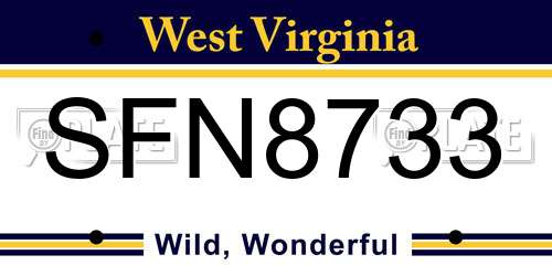 SFN8733 West Virginia License Plate