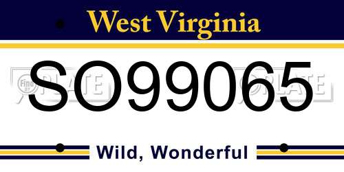 SO99065 West Virginia License Plate