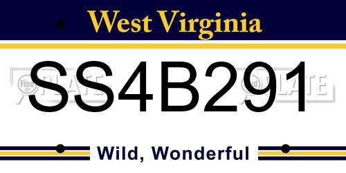 SS4B291 West Virginia License Plate