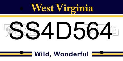 SS4D564 West Virginia License Plate