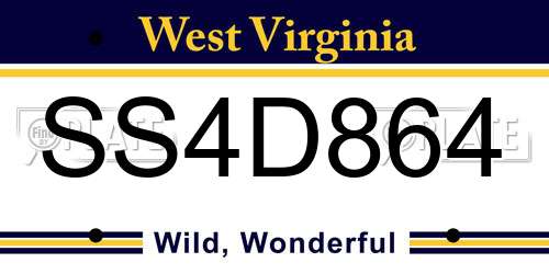 SS4D864 West Virginia License Plate