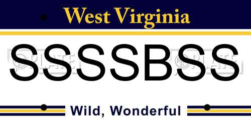 SSSSBSS West Virginia License Plate