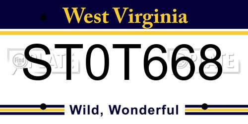 ST0T668 West Virginia License Plate