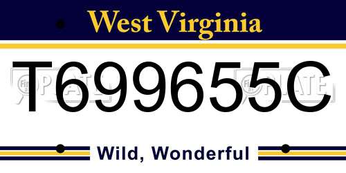 T699655C West Virginia License Plate