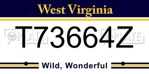 T73664Z West Virginia License Plate