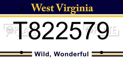 T822579 West Virginia License Plate
