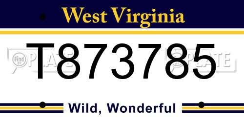 T873785 West Virginia License Plate