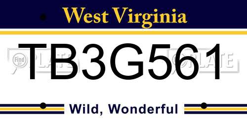 TB3G561 West Virginia License Plate
