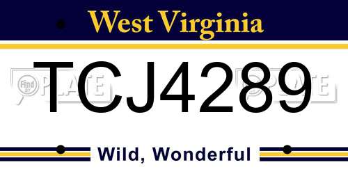 TCJ4289 West Virginia License Plate
