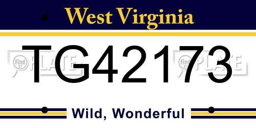 TG42173 West Virginia License Plate