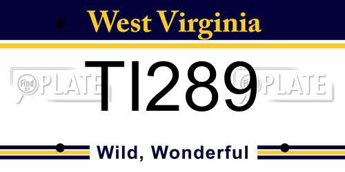 TI289 West Virginia License Plate