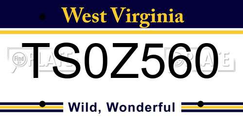 TS0Z560 West Virginia License Plate